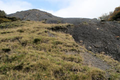 Hafod Arthen Colliery tips, October 2010